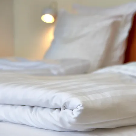 Отель Western Royal Хольстебро