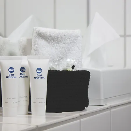 Western Royal Hotel Holstebro