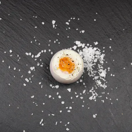 Western Royal Holstebro